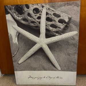 Neutral Starfish Wall Art Canvas - Coastal Bath Decor
